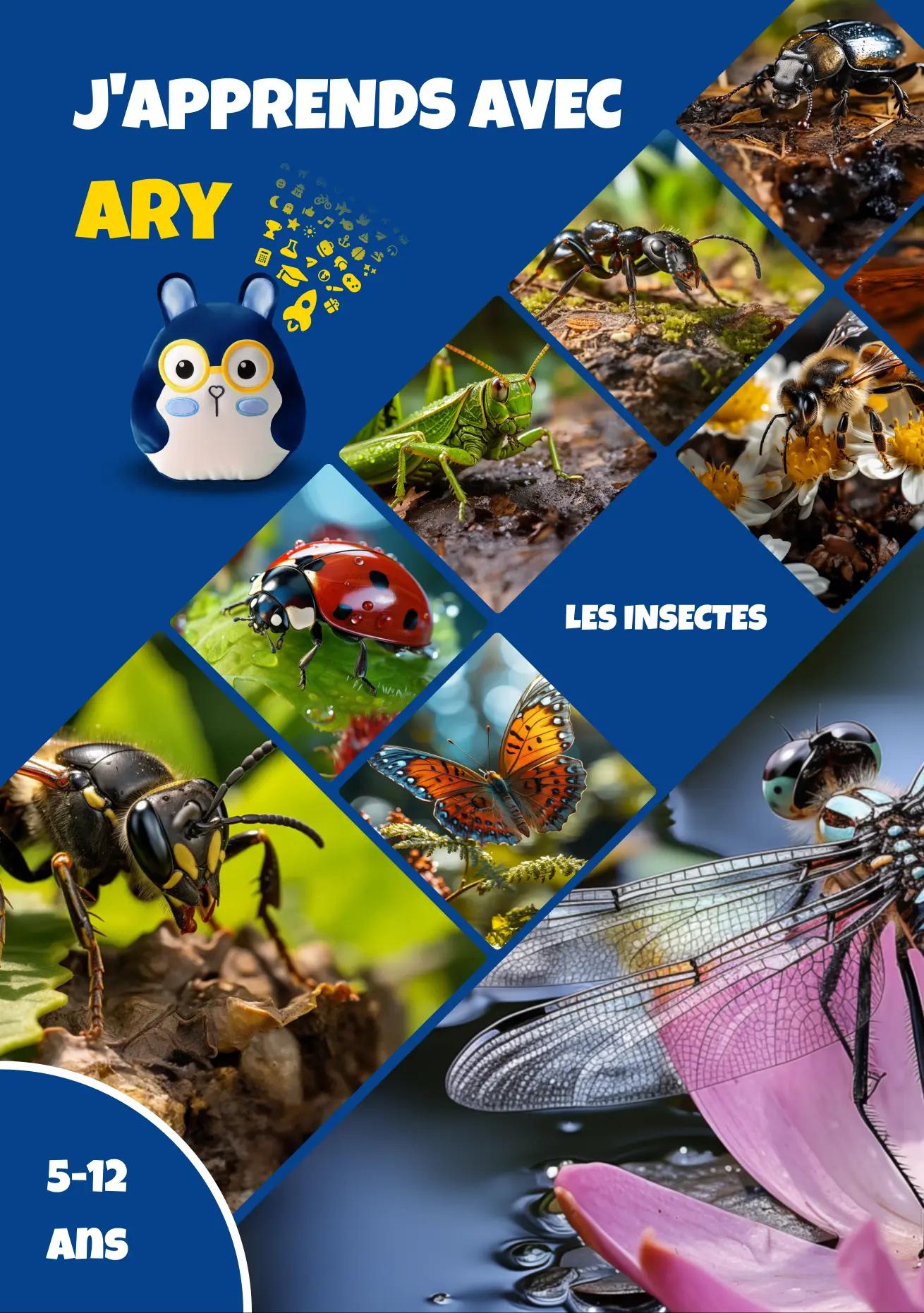 Insects